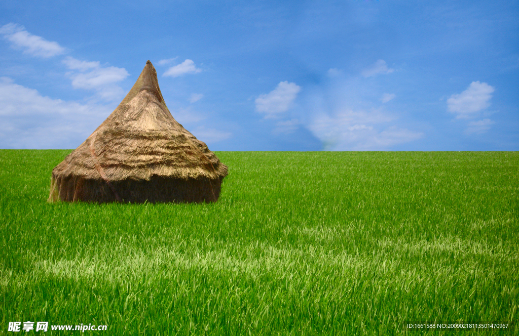 绿色田野上的茅屋