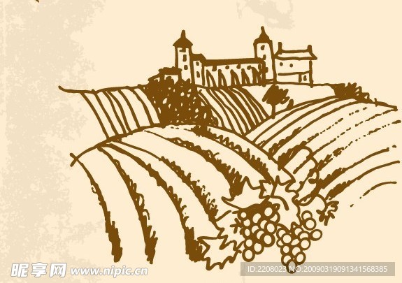 葡萄庄园素材