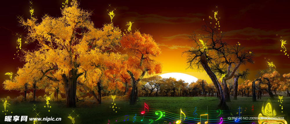 梦幻 精灵音乐会