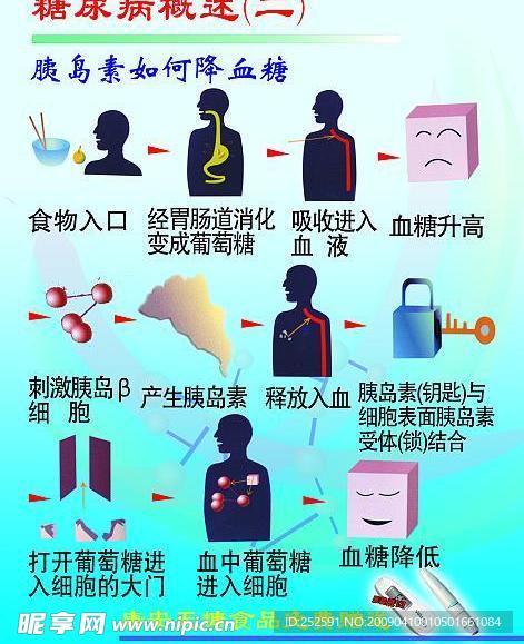 糖尿病宣传挂图