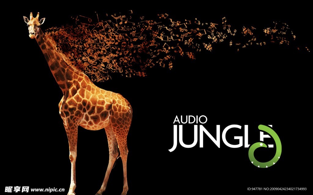 Audio Jungle 音乐与自然