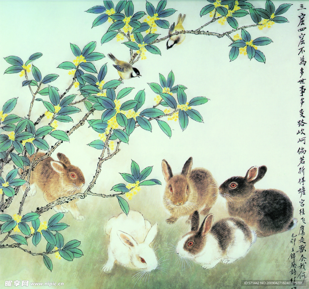 五兔齐相聚
