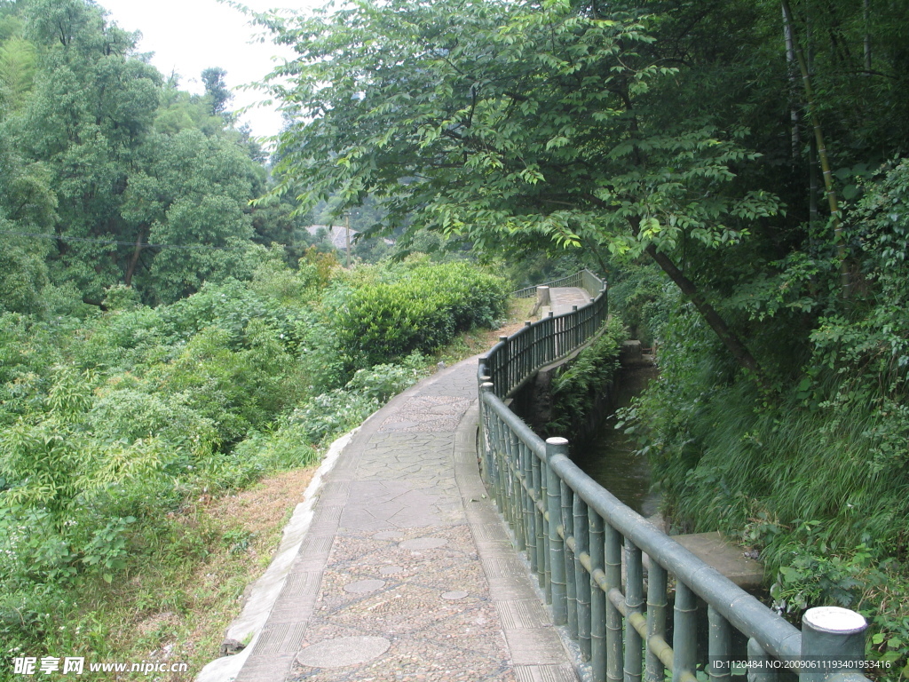 韶山风景竹篱幽径