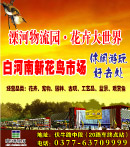 物流广告设计模板