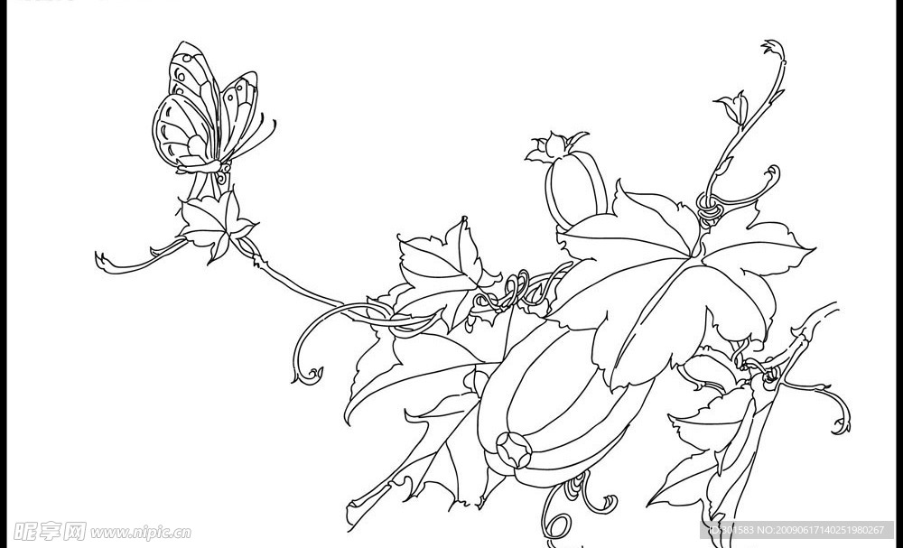 线描香瓜蝴蝶