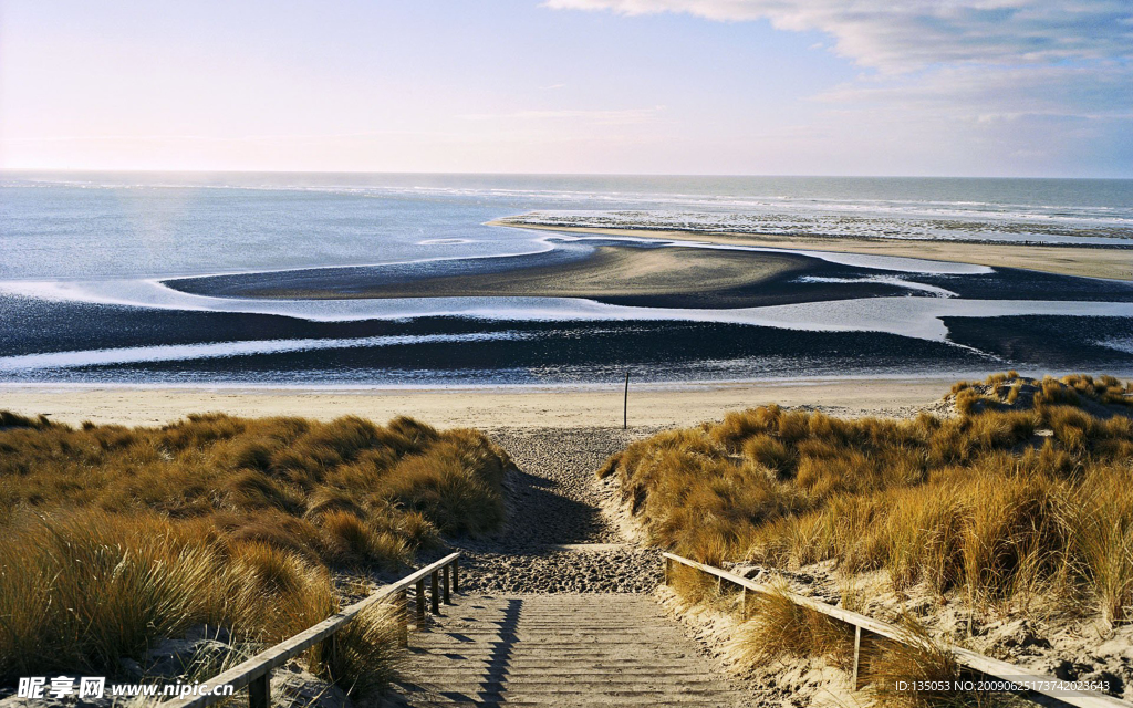 荷兰通向海滩的阶梯