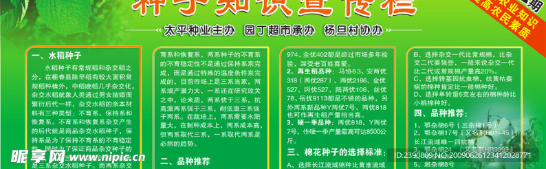 种子知识宣传栏