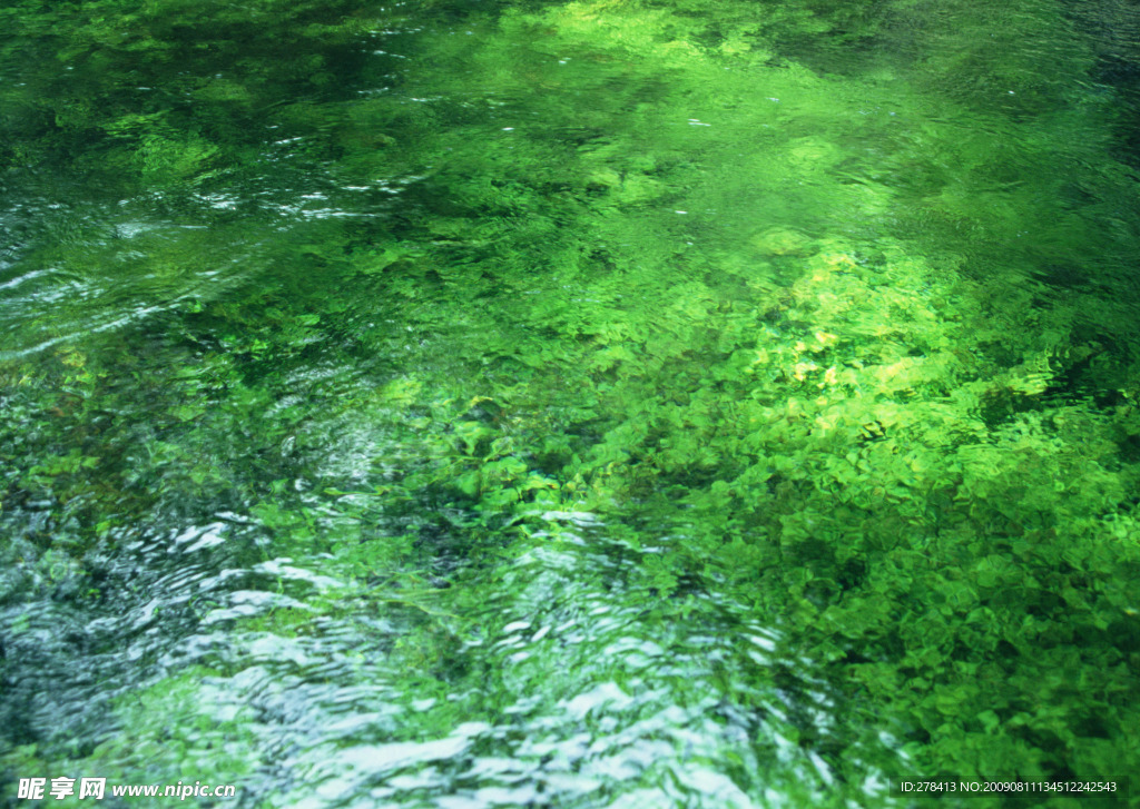 溪水 瀑布 涌泉 流水 水纹
