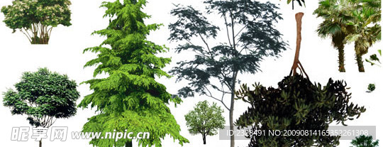 树和树群