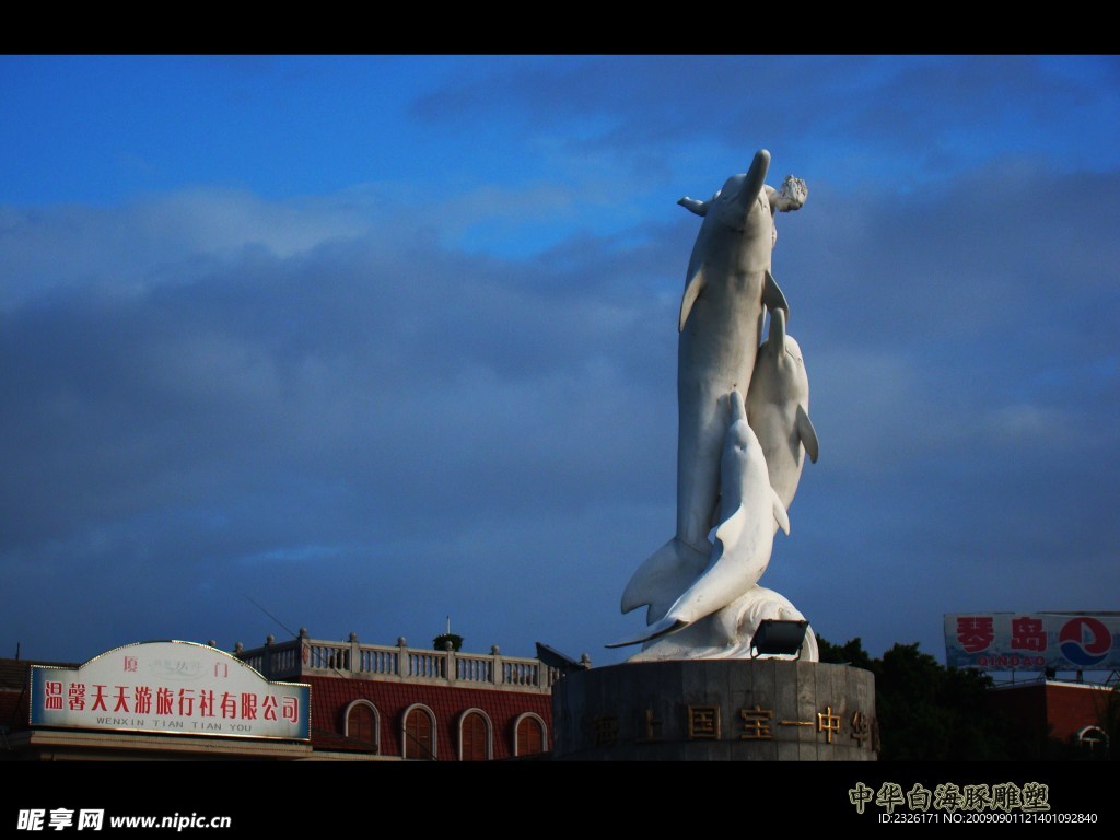 中华白海豚雕塑
