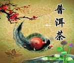 普洱茶