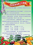 水果蔬菜检测工作制度