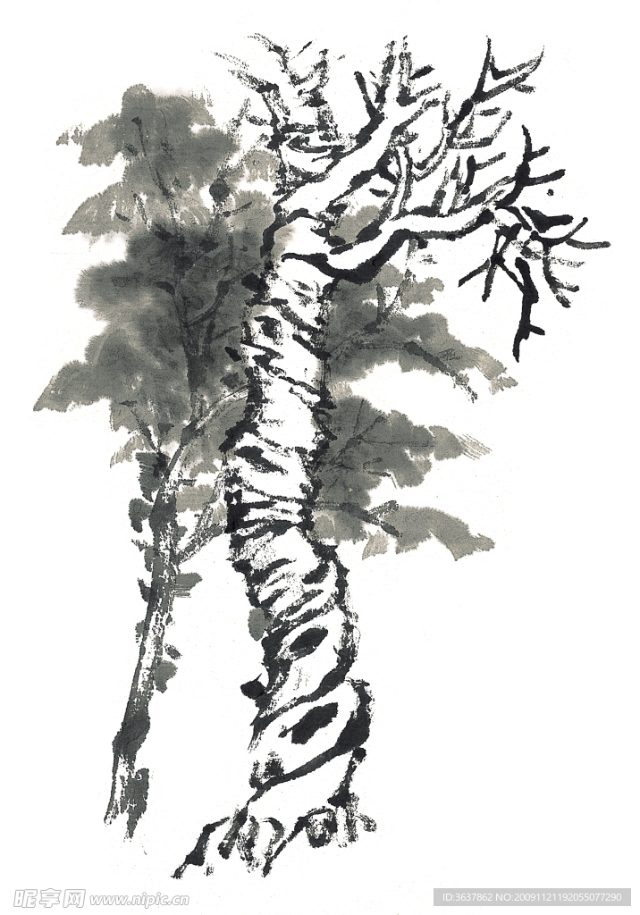 水墨 树木