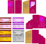 青春年华美容SPA龙凤卡 信封设计