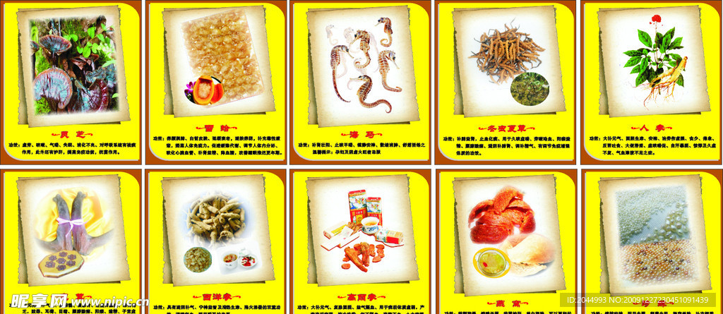 九天绿产品功效海报