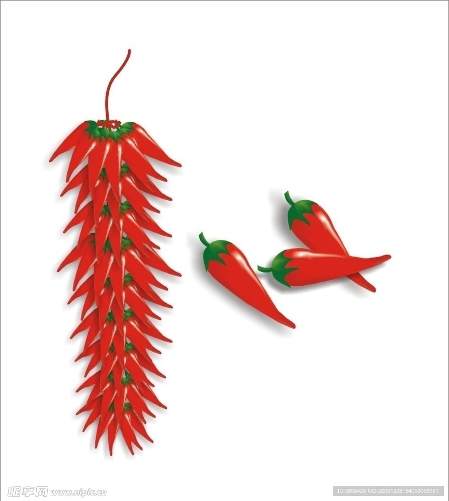 红辣椒