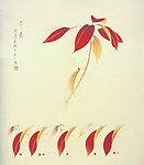 国画红叶