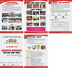 逻辑狗推广方案宣传