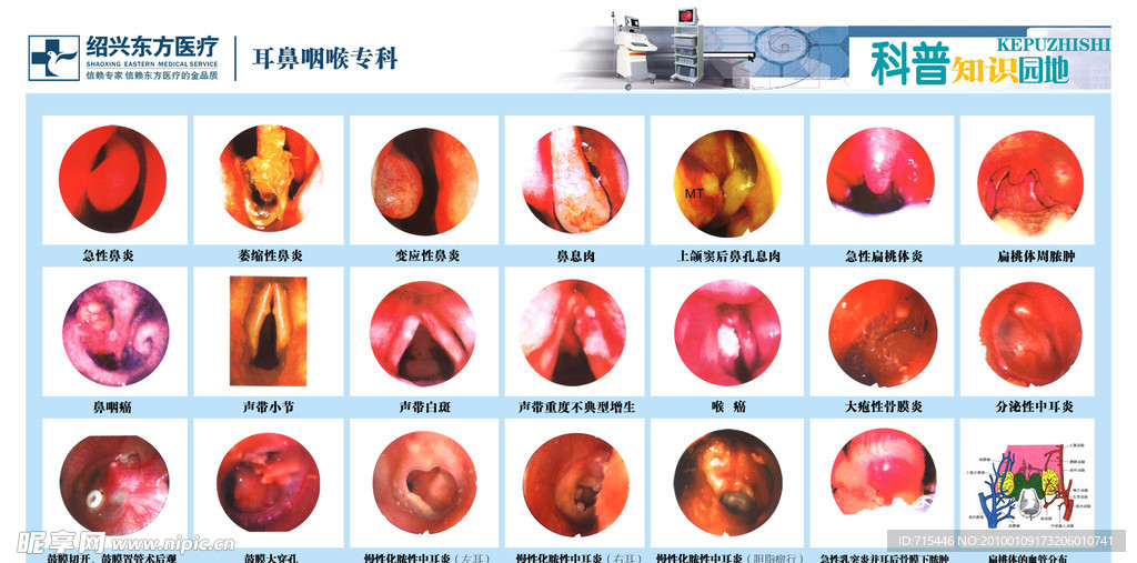 耳鼻喉图谱