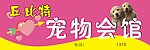 宠物会馆