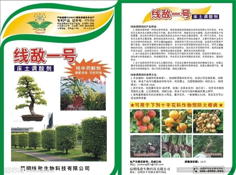 花卉调理剂 水果 盆景