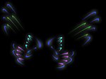 彩色蝶翅