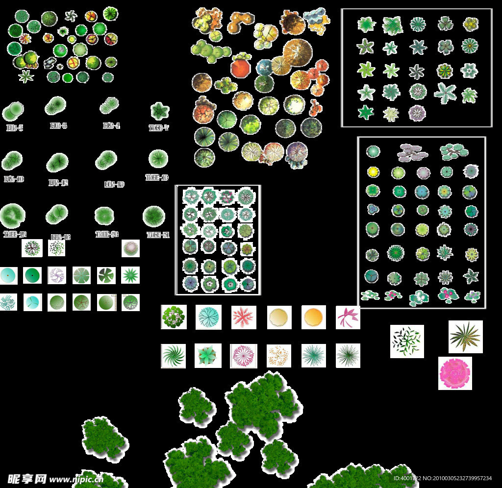 园林植物平面素材彩图