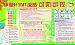 甲型H1N1流感