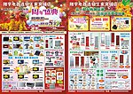 家电宣传单