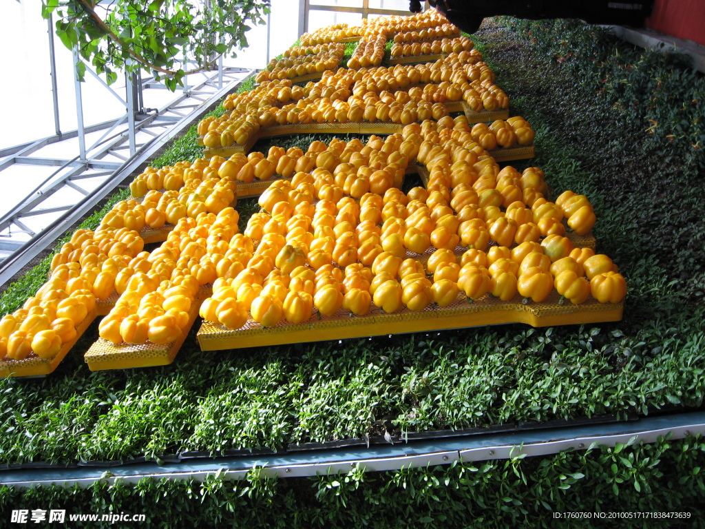 寿光蔬菜博览会