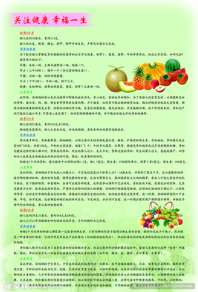 关注健康 幸福一生 怀孕4 5 6个月