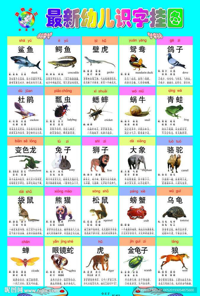 幼儿智力启蒙识字挂图