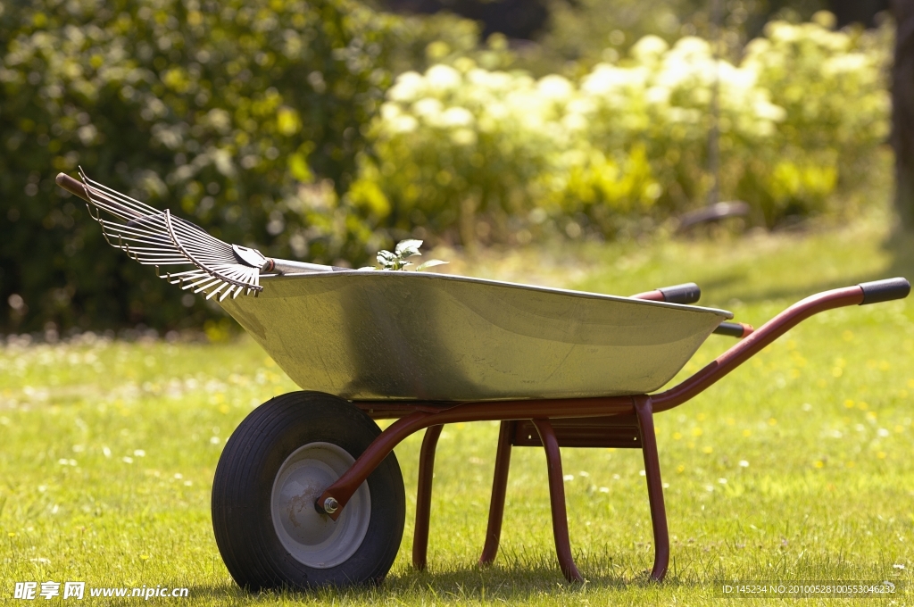 园林园艺高清图