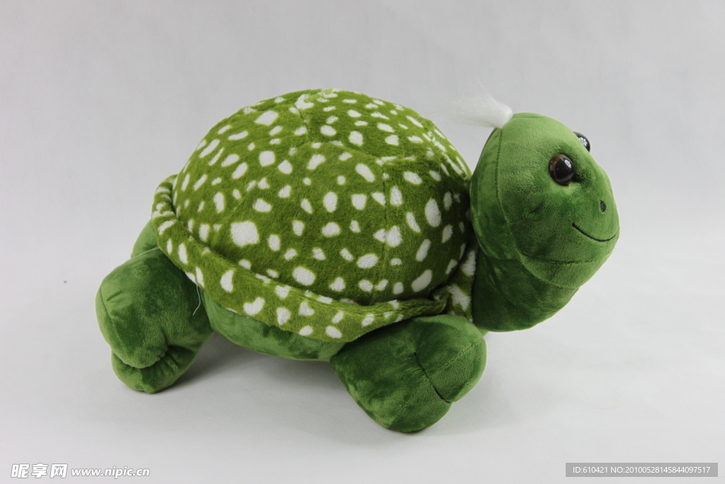 玩具乌龟