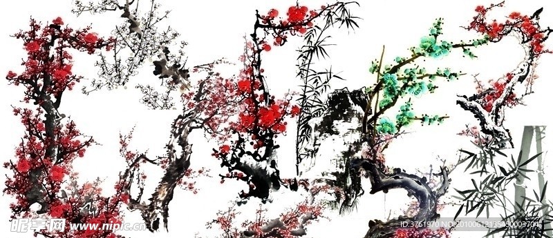 各个品种梅花素材