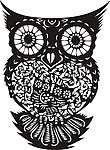 猫头鹰 矢量图