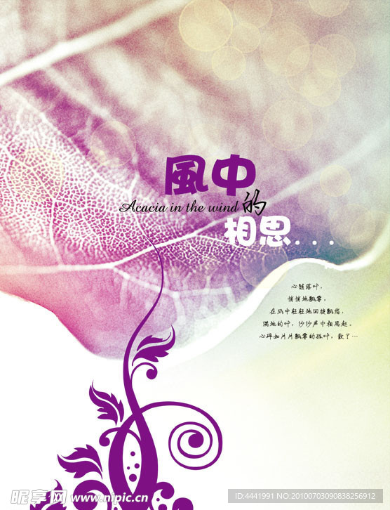 本本设计 风中的相思 封面