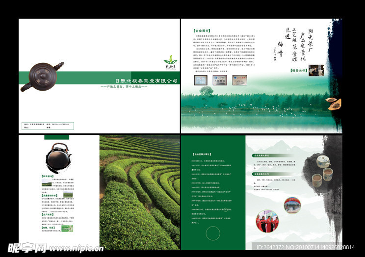 北极春茶叶 画册