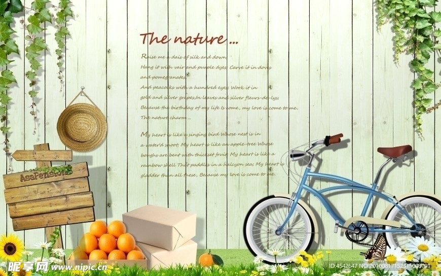 自然 自行车 一家三口