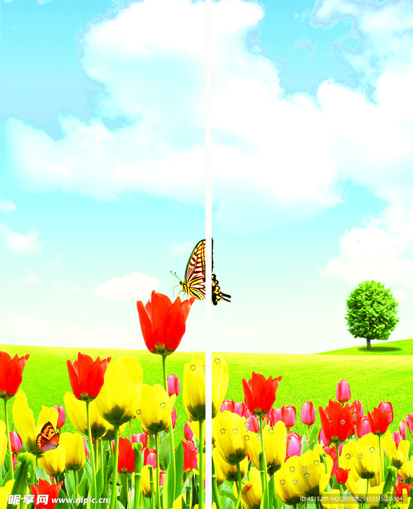 玻璃移门 灿烂的花朵