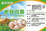 鸡蛋标签