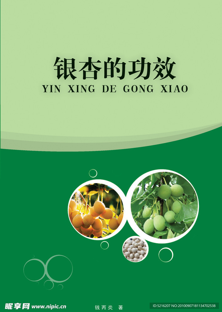 银杏画册封面