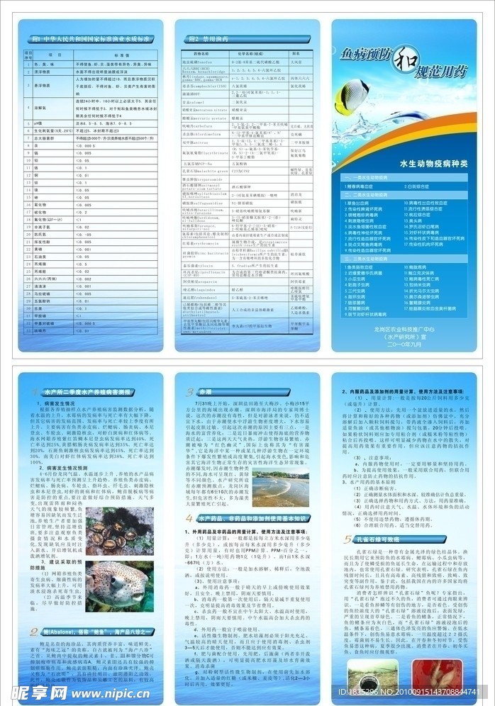 水产品宣传折页