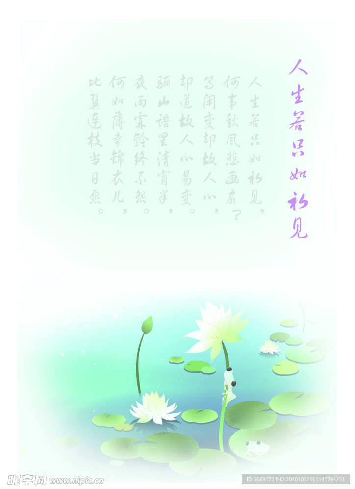 清水绿叶中盛夏荷花阵阵清凉