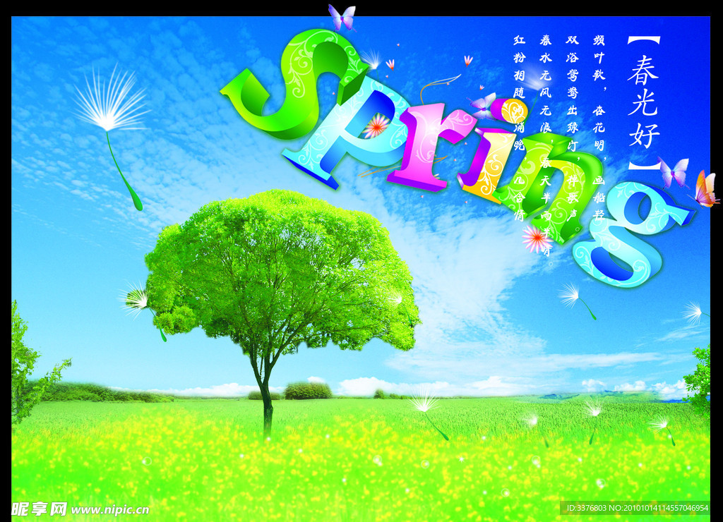 大自然 春天 树 春光好