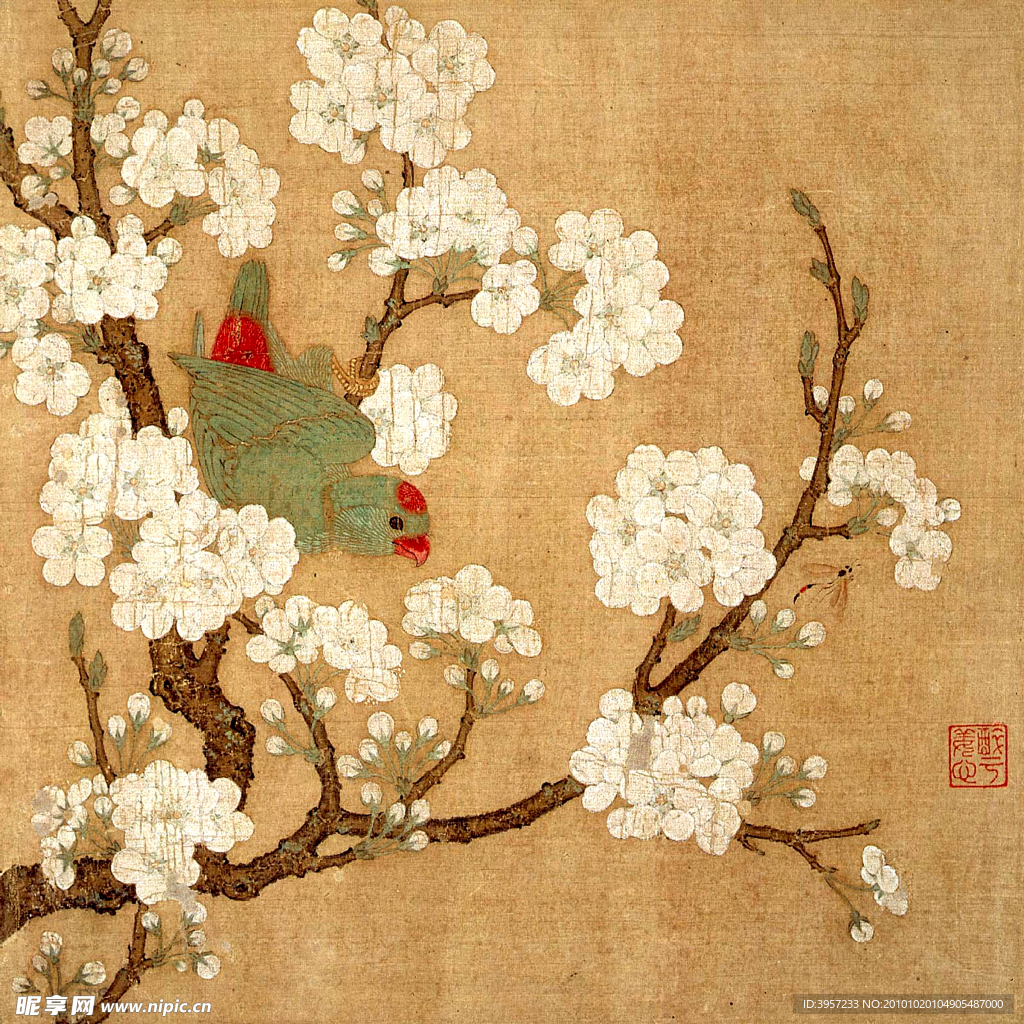 梨花鹦鹉图