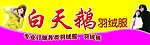 白天鹅羽绒服店面招牌