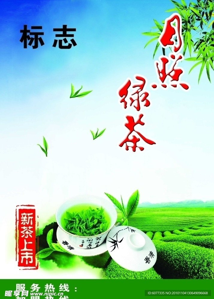 日照绿茶