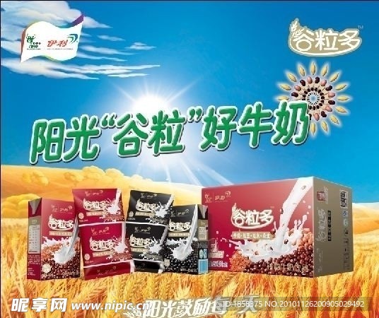 伊利谷粒多海报