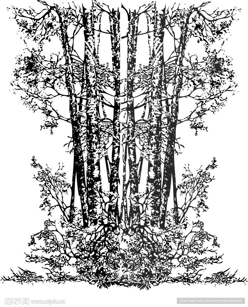 树木 花草 风景